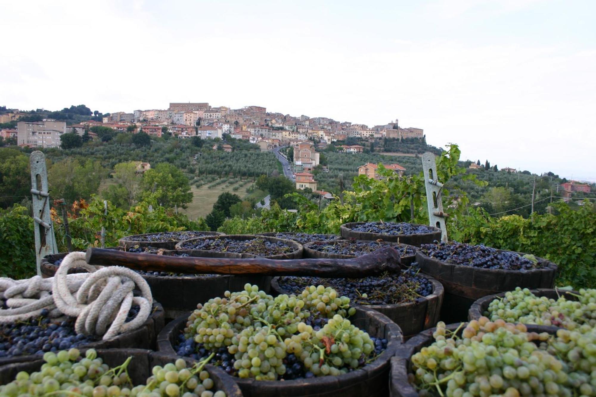 Agriturismo La Pietriccia Chianciano Terme Bagian luar foto